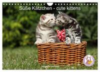 Vorderes Coverbild Süße Kätzchen - cute kittens (Wandkalender 2025 DIN A4 quer), CALVENDO Monatskalender