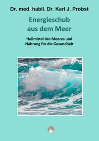 Vorderes Coverbild Energieschub aus dem Meer