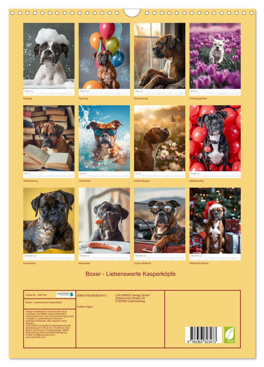 Beispielinhalt (Bild) Boxer - Liebenswerte Kasperköpfe (Wandkalender 2025 DIN A3 hoch), CALVENDO Monatskalender