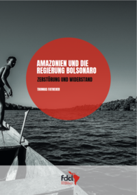 Vorderes Coverbild AMAZONIEN UND DIE REGIERUNG BOLSONARO