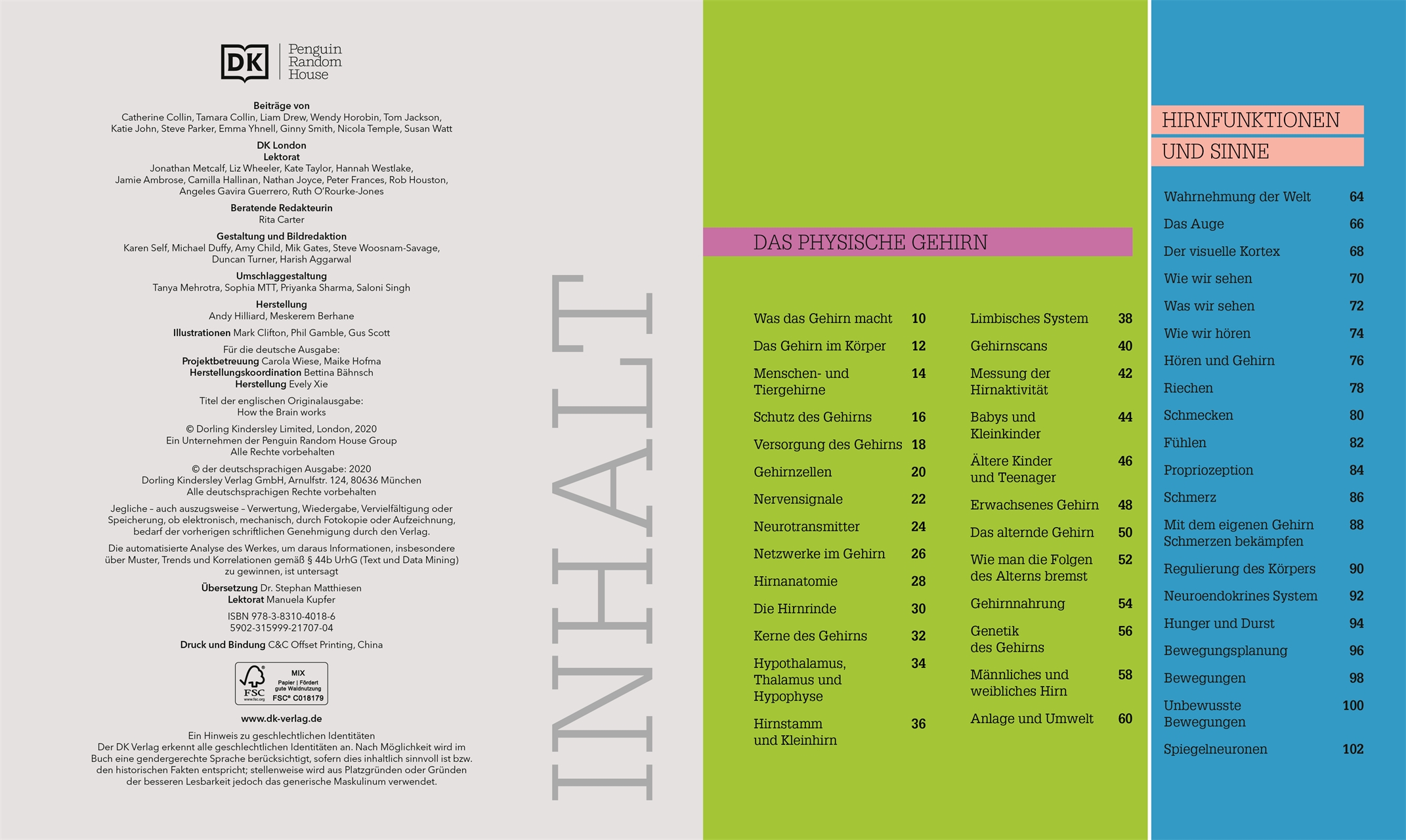 Beispielinhalt (Bild) #dkinfografik. Das menschliche Gehirn und wie es funktioniert