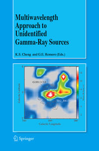 Vorderes Coverbild Multiwavelength Approach to Unidentified Gamma-Ray Sources