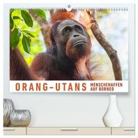 Vorderes Coverbild Orang-Utans Menschenaffen auf Borneo (hochwertiger Premium Wandkalender 2025 DIN A2 quer), Kunstdruck in Hochglanz