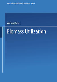 Vorderes Coverbild Biomass Utilization