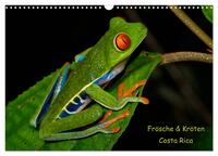 Vorderes Coverbild Frösche & Kröten Costa Rica (Wandkalender 2025 DIN A3 quer), CALVENDO Monatskalender