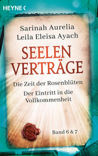 Vorderes Coverbild Seelenverträge Band 6 & 7