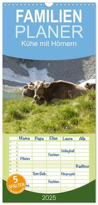 Vorderes Coverbild Familienplaner 2025 - Kühe mit Hörnern mit 5 Spalten (Wandkalender, 21 x 45 cm) CALVENDO