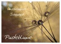 Vorderes Coverbild Unscheinbare Schönheit - Pusteblume (Wandkalender 2025 DIN A3 quer), CALVENDO Monatskalender