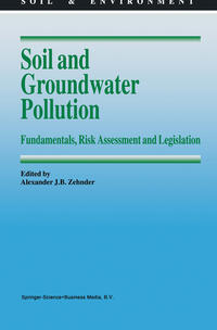 Vorderes Coverbild Soil and Groundwater Pollution