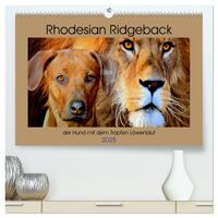 Vorderes Coverbild Rhodesian Ridgeback der Hund mit dem Tropfen Löwenblut (hochwertiger Premium Wandkalender 2025 DIN A2 quer), Kunstdruck in Hochglanz