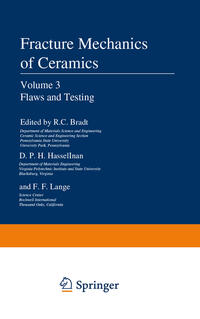Vorderes Coverbild Flaws and Testing
