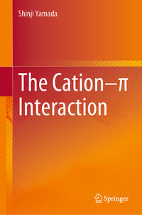 Vorderes Coverbild The Cation–p Interaction
