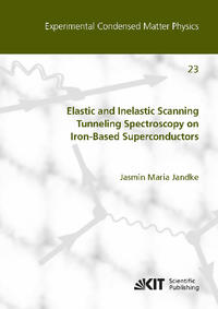 Vorderes Coverbild Elastic and Inelastic Scanning Tunneling Spectroscopy on Iron-Based Superconductors