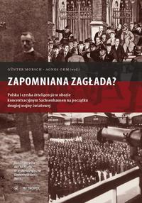 Vorderes Coverbild Zapomniana zaglada?