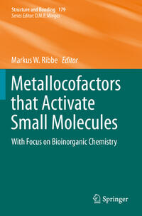 Vorderes Coverbild Metallocofactors that Activate Small Molecules