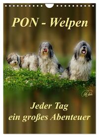 Vorderes Coverbild PON-Welpen - jeder Tag ein großes Abenteuer / Planer (Wandkalender 2026 DIN A4 hoch), CALVENDO Monatskalender