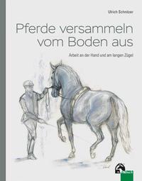 Vorderes Coverbild Pferde versammeln vom Boden aus