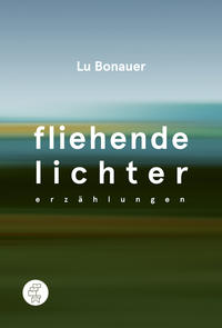 Vorderes Coverbild Fliehende Lichter