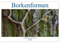 Vorderes Coverbild Borkenformen (Wandkalender 2025 DIN A2 quer), CALVENDO Monatskalender
