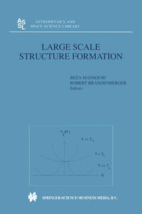 Vorderes Coverbild Large Scale Structure Formation