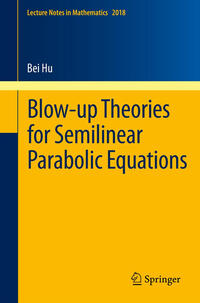 Vorderes Coverbild Blow-up Theories for Semilinear Parabolic Equations