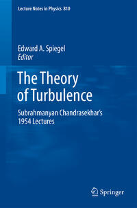 Vorderes Coverbild The Theory of Turbulence