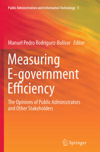 Vorderes Coverbild Measuring E-government Efficiency
