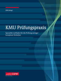 Vorderes Coverbild KMU Prüfungspraxis