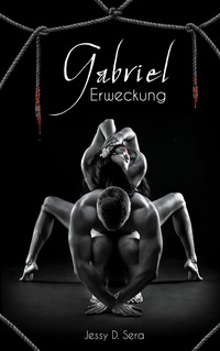Vorderes Coverbild Gabriel - Erweckung