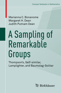 Vorderes Coverbild A Sampling of Remarkable Groups