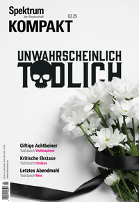 Vorderes Coverbild Spektrum Kompakt 2/2025 - Unwahrscheinlich tödlich