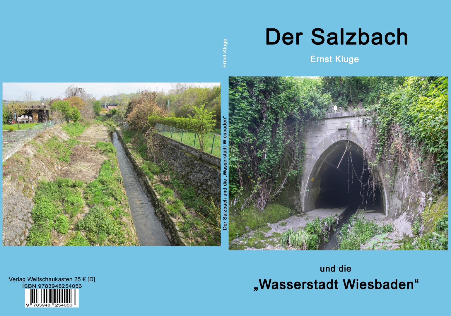 Gesamtes Coverbild Der Salzbach