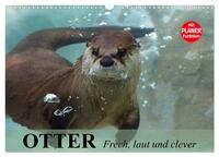 Vorderes Coverbild Otter. Frech, laut und clever (Wandkalender 2026 DIN A3 quer), CALVENDO Monatskalender