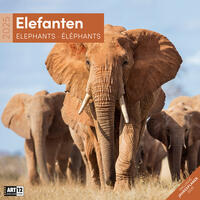 Vorderes Coverbild Elefanten Kalender 2025 - 30x30