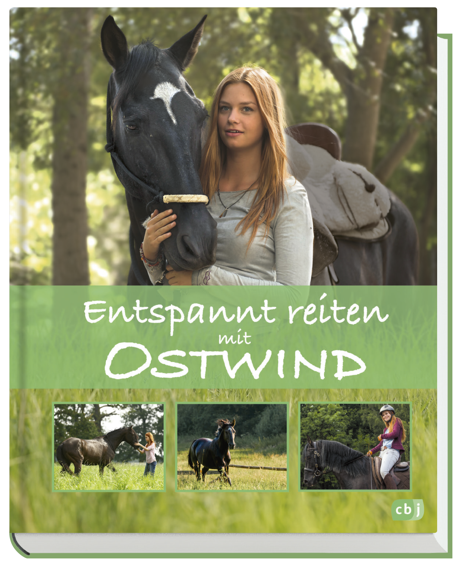 Beispielinhalt (Bild) Entspannt reiten mit Ostwind