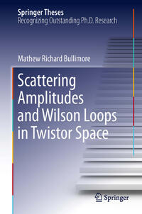 Vorderes Coverbild Scattering Amplitudes and Wilson Loops in Twistor Space