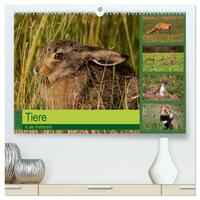 Vorderes Coverbild Tiere in der Feldmark (hochwertiger Premium Wandkalender 2025 DIN A2 quer), Kunstdruck in Hochglanz