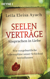 Vorderes Coverbild Seelenverträge. Absprachen in Liebe