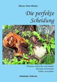 Vorderes Coverbild Die perfekte Scheidung
