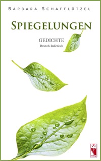 Vorderes Coverbild Spiegelungen