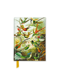 Vorderes Coverbild Premium Notizbuch DIN A6: Ernst Haeckel, Kolibris