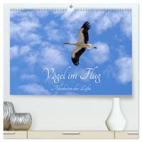 Vorderes Coverbild Vögel im Flug - Akrobaten der Lüfte (hochwertiger Premium Wandkalender 2025 DIN A2 quer), Kunstdruck in Hochglanz