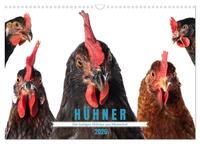 Vorderes Coverbild Die lustigen Hühner aus Mosenhof (Wandkalender 2026 DIN A3 quer), CALVENDO Monatskalender