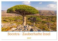 Vorderes Coverbild Socotra - Zauberhafte Insel (Wandkalender 2025 DIN A3 quer), CALVENDO Monatskalender
