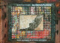 Vorderes Coverbild Musenspuren