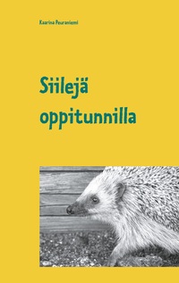 Vorderes Coverbild Siilejä oppitunnilla