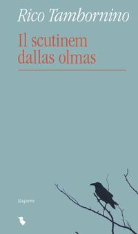 Vorderes Coverbild Il scutinem dallas olmas