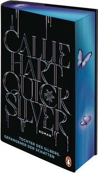 Vorderes Coverbild Quicksilver - Tochter des Silbers. Gefangener der Schatten