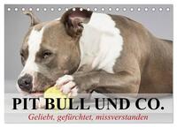 Vorderes Coverbild Pit Bull und Co. - Geliebt, gefürchtet, missverstanden (Tischkalender 2025 DIN A5 quer), CALVENDO Monatskalender