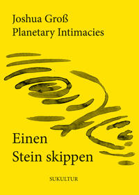 Vorderes Coverbild Einen Stein skippen